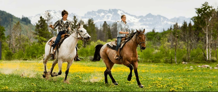 Confident plus-size woman riding Wisbech a horse through a field with a smile on her face.